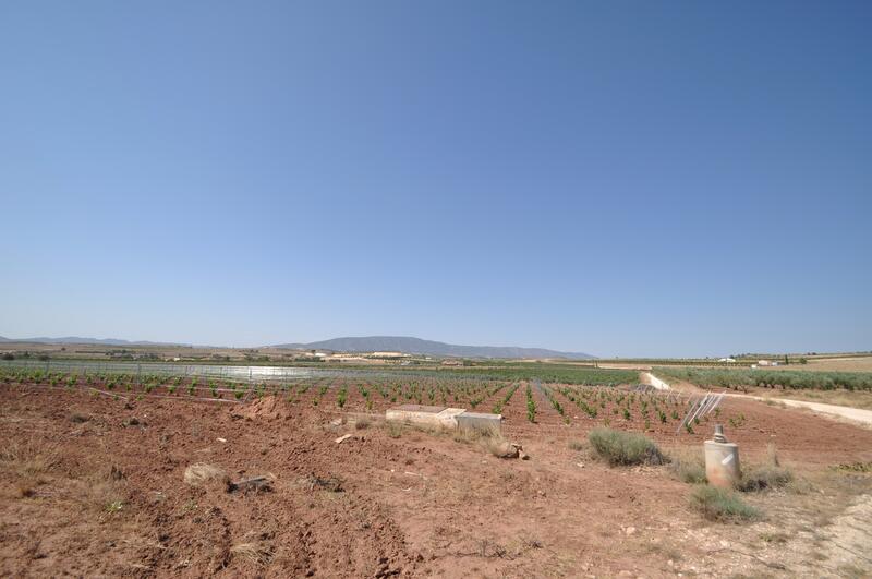 Jord til salg i Pinoso, Alicante