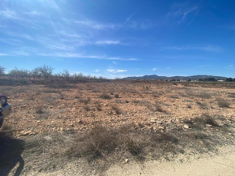 Land for sale