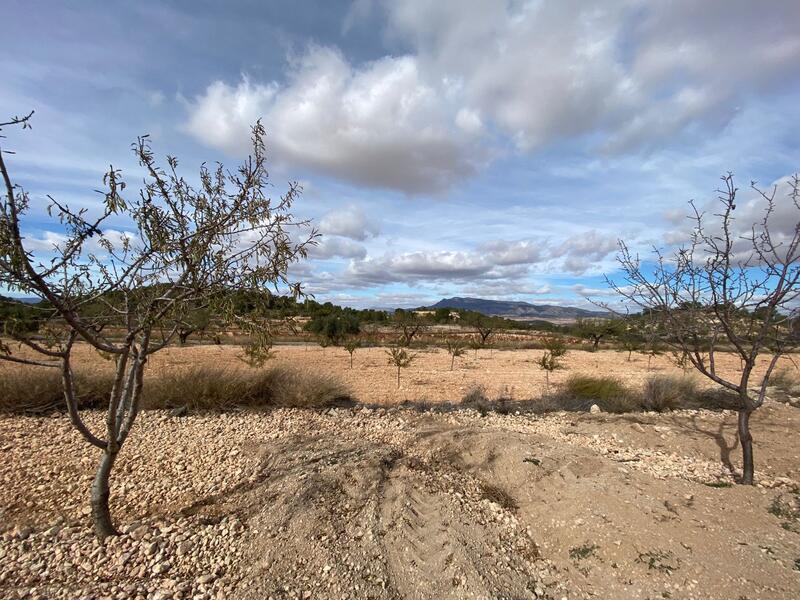 4 Cuarto Casa de Campo en venta