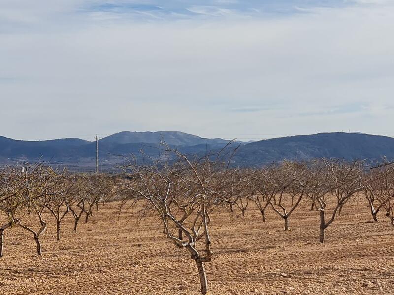 Terrenos en venta