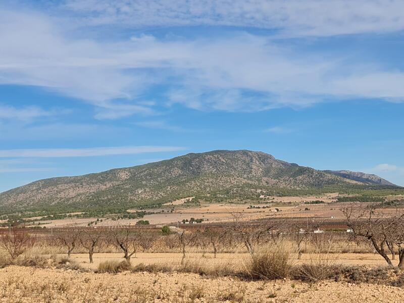 Terrenos en venta