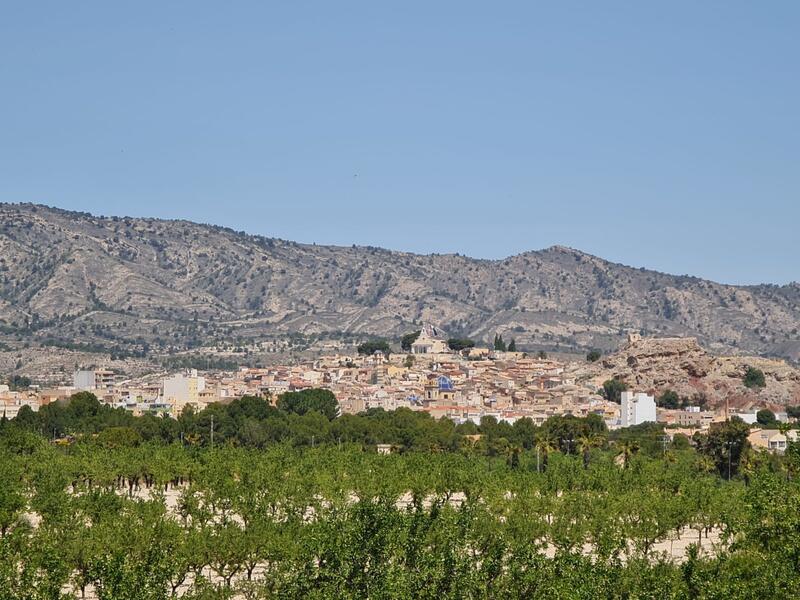 Terrenos en venta en Monóvar, Alicante