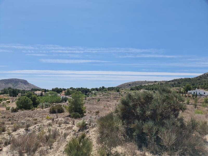 Terrain à vendre