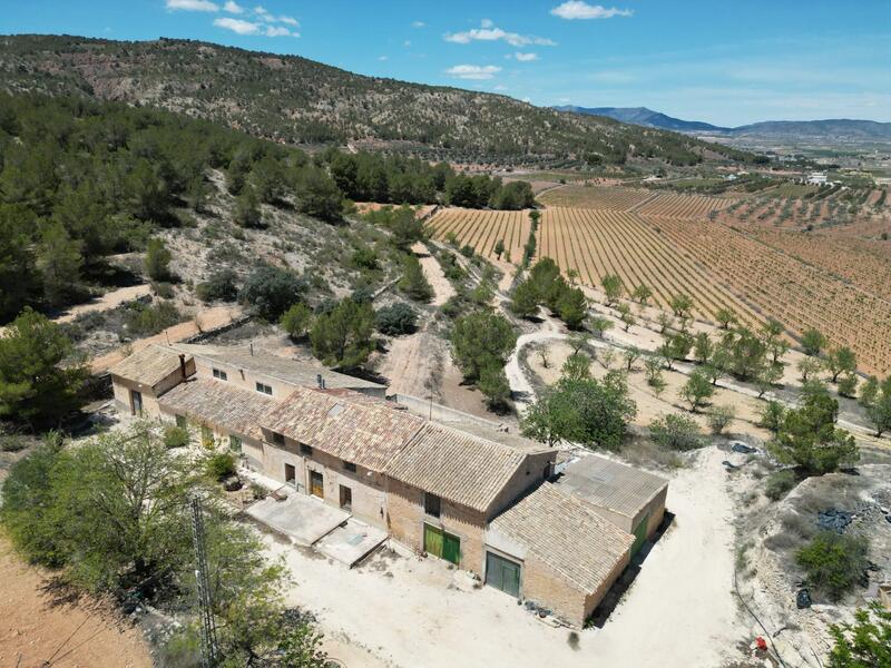 Lantställe till salu i Pinoso, Alicante