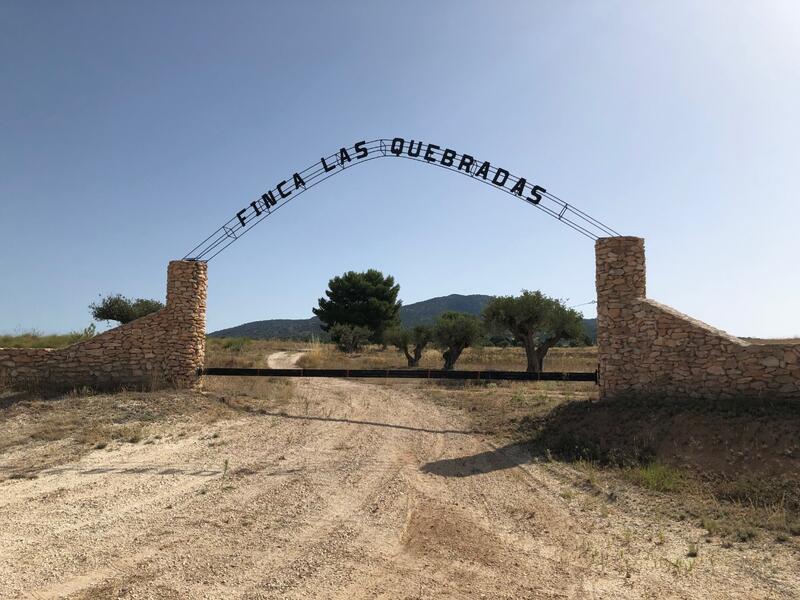 Land for sale in Yecla, Murcia