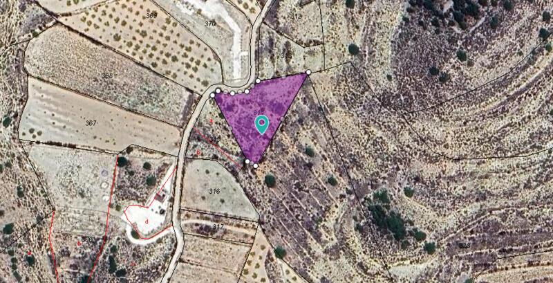 Land for sale in Pinoso, Alicante