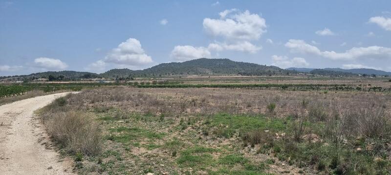 Land Te koop in Pinoso, Alicante