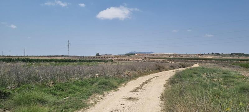 Terrenos en venta