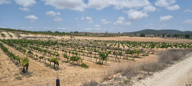 Land for sale in Pinoso, Alicante