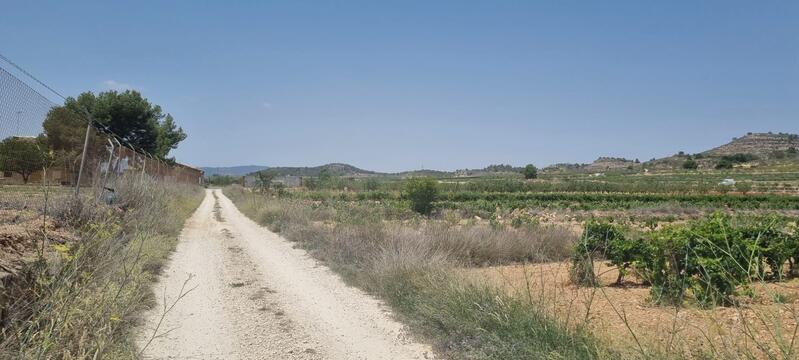 Land for sale in Pinoso, Alicante