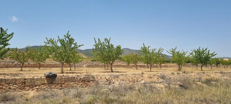 Land Te koop in Yecla, Murcia