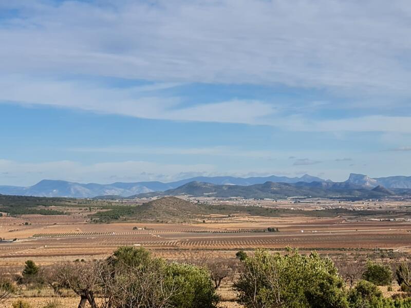 Terrain à vendre