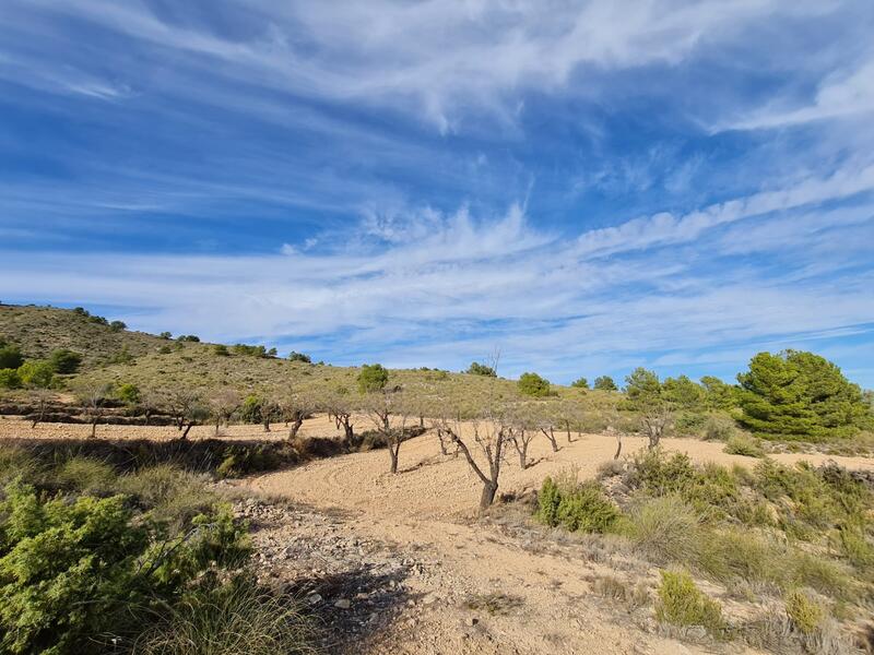 Terrain à vendre