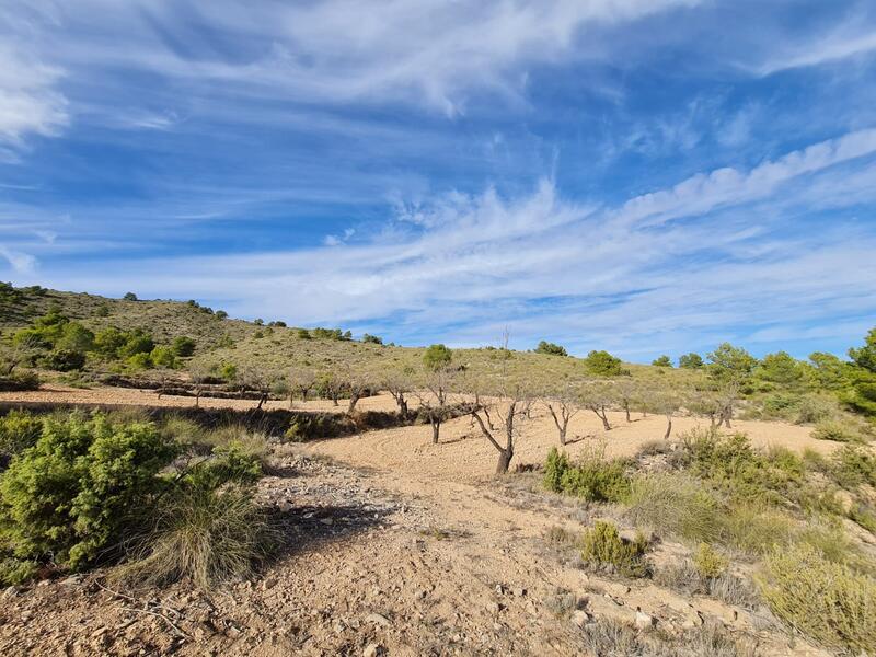 Terrain à vendre