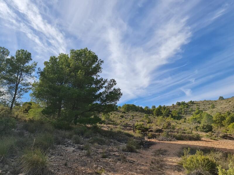 Terrain à vendre