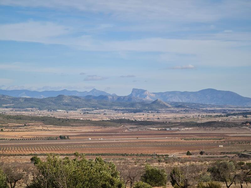 Terrenos en venta