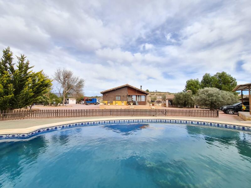 Villa à vendre dans Pinoso, Alicante