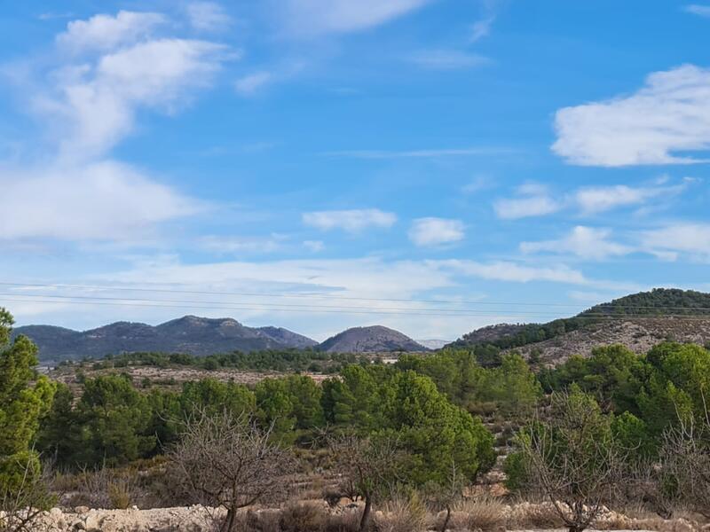 Land for sale in Monóvar, Alicante