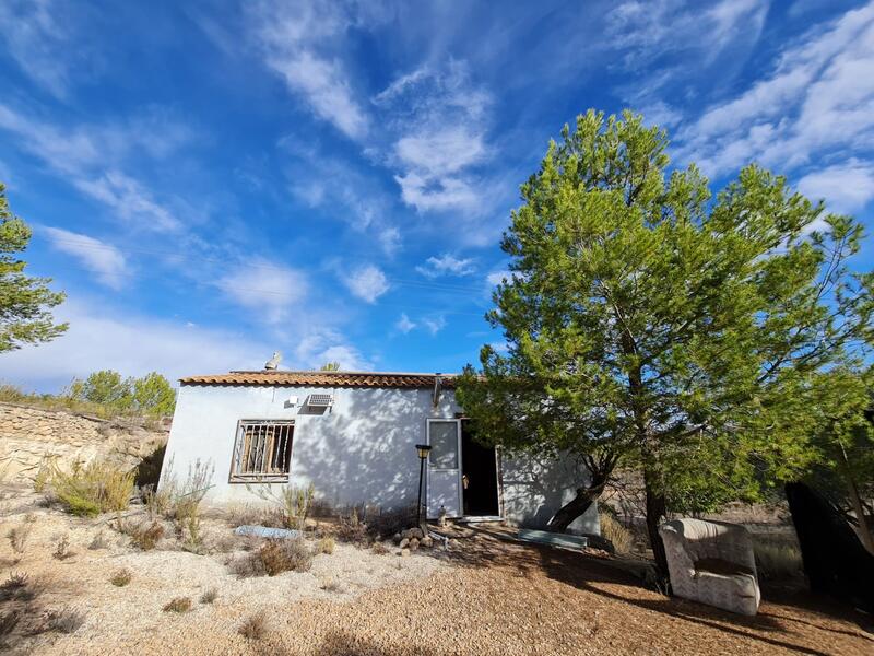 4 chambre Terrain à vendre