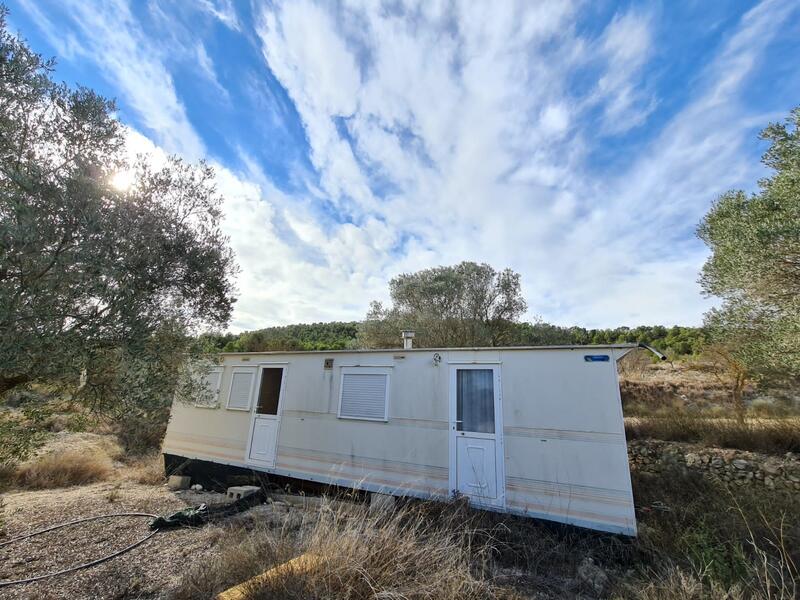 4 chambre Terrain à vendre