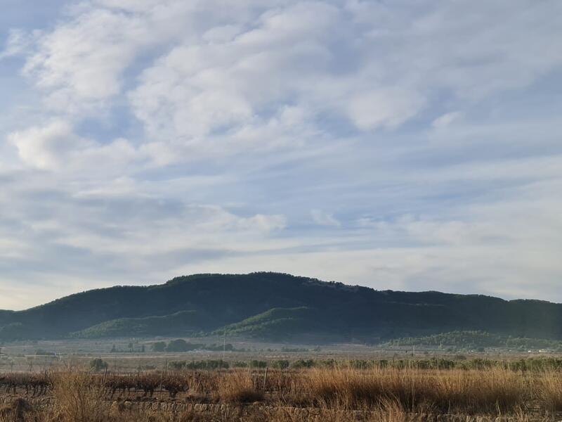 Terrain à vendre