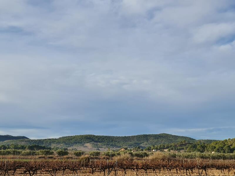 Terrain à vendre