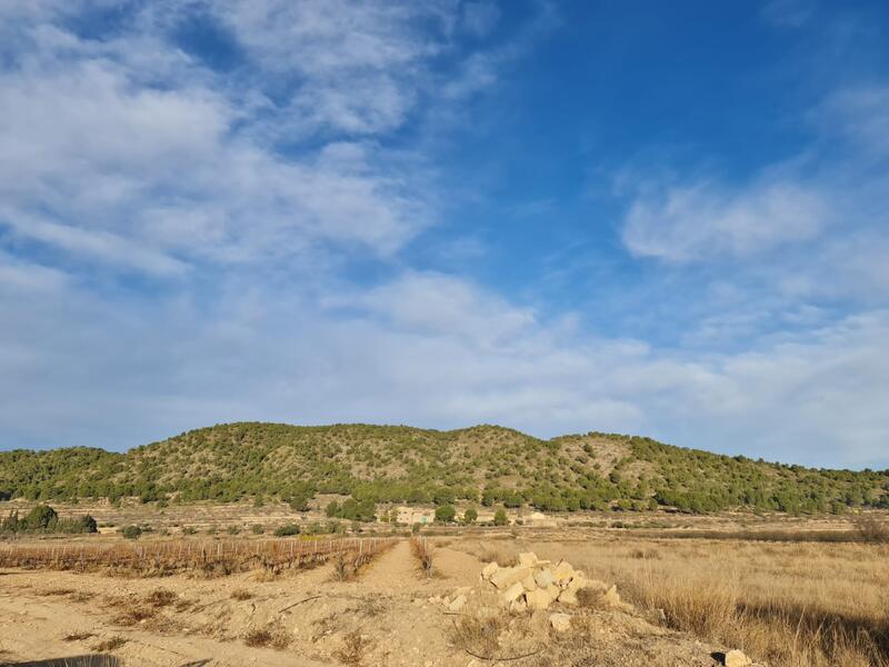 Terrain à vendre