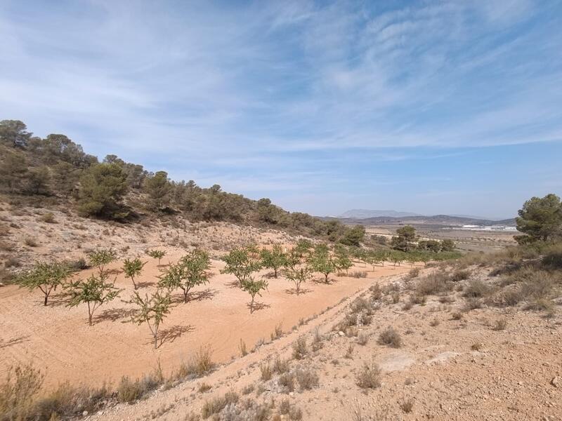 Grundstück zu verkaufen in Abanilla, Murcia