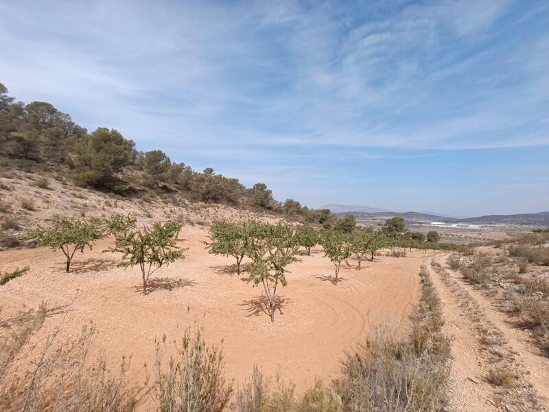 Terrenos en venta