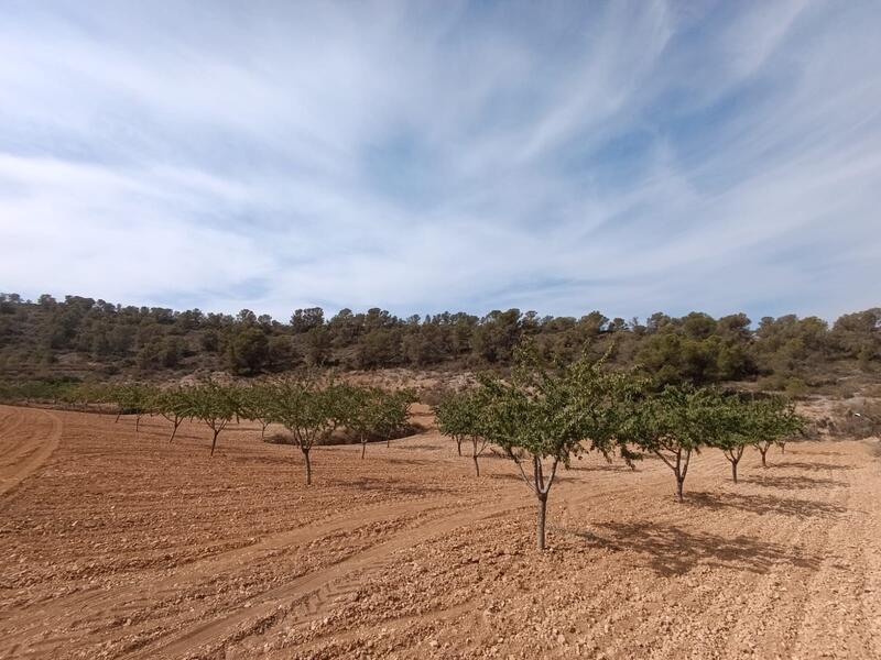 Terrain à vendre