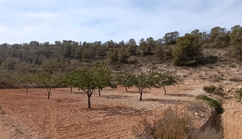 Terrenos en venta