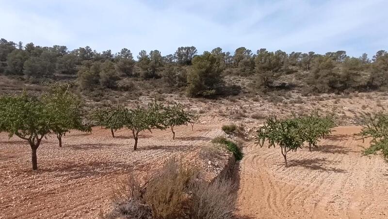 Terrenos en venta