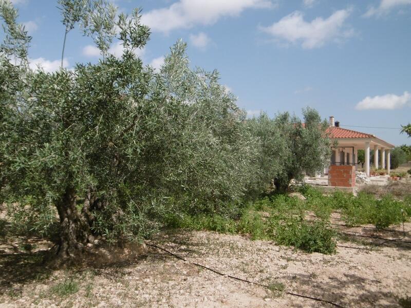 4 chambre Villa à vendre