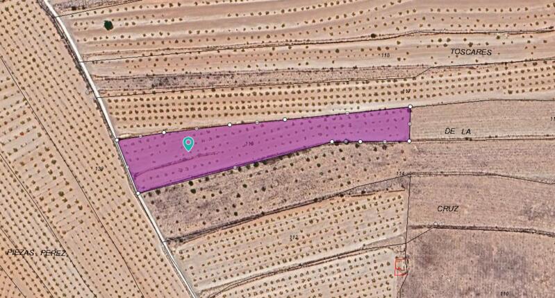 Land for sale in Pinoso, Alicante