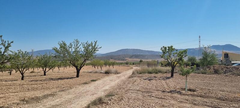 Terrenos en venta