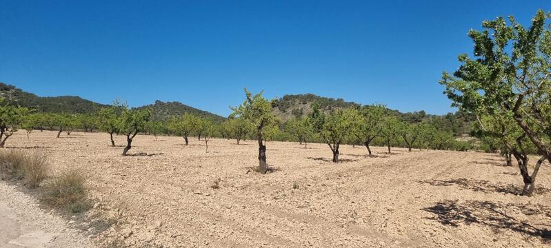 Terrenos en venta