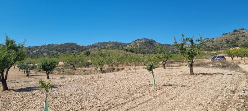 Terrenos en venta