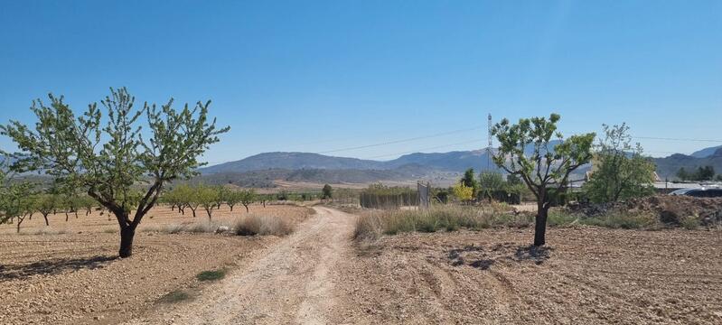 Terrenos en venta