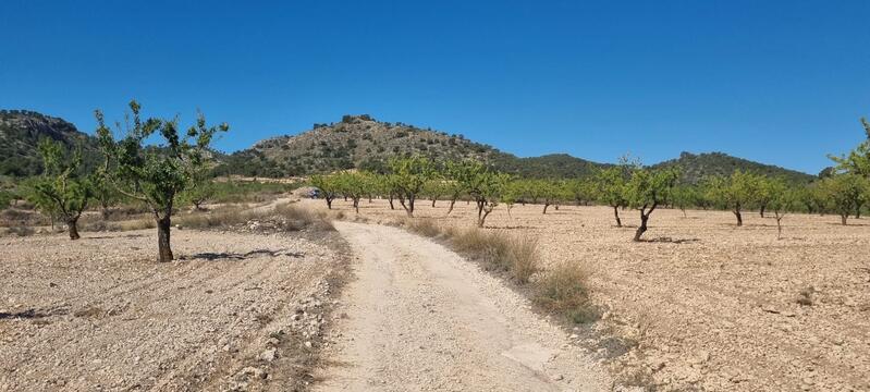 Terrenos en venta