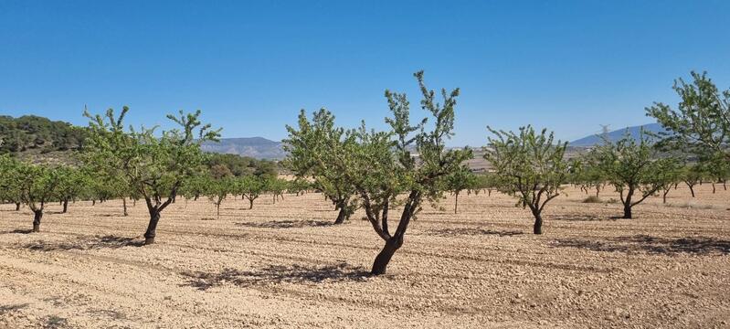 Terrenos en venta