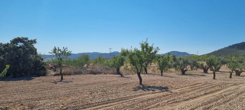 Terrenos en venta