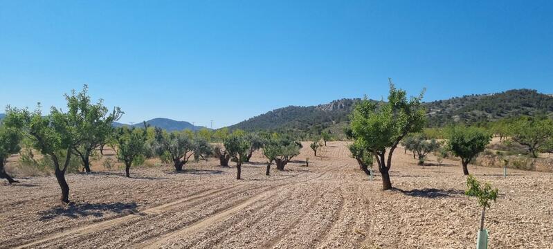 Terrenos en venta