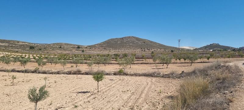 Terrain à vendre