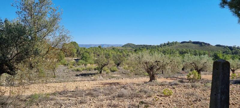 Terrain à vendre