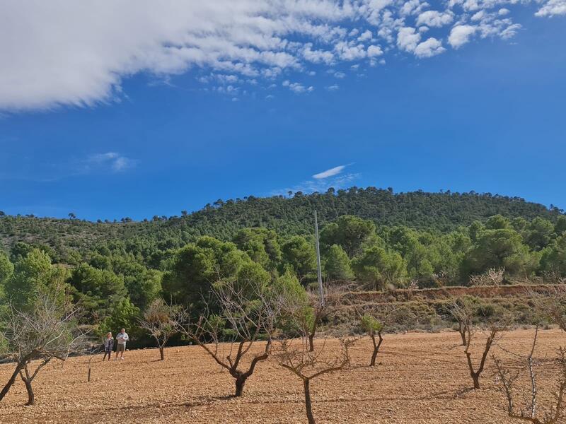 Jord til salg i Pinoso, Alicante