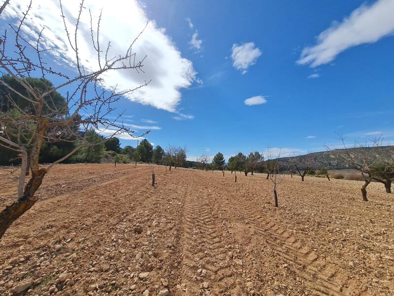 Terrenos en venta