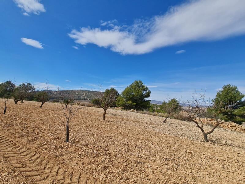 Terrain à vendre