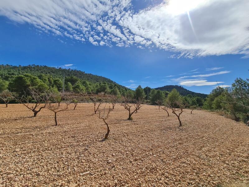 Terrain à vendre