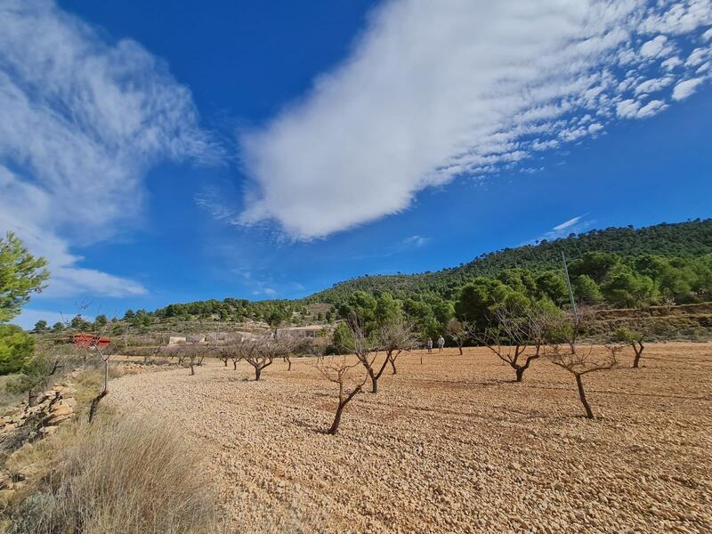 Terrain à vendre