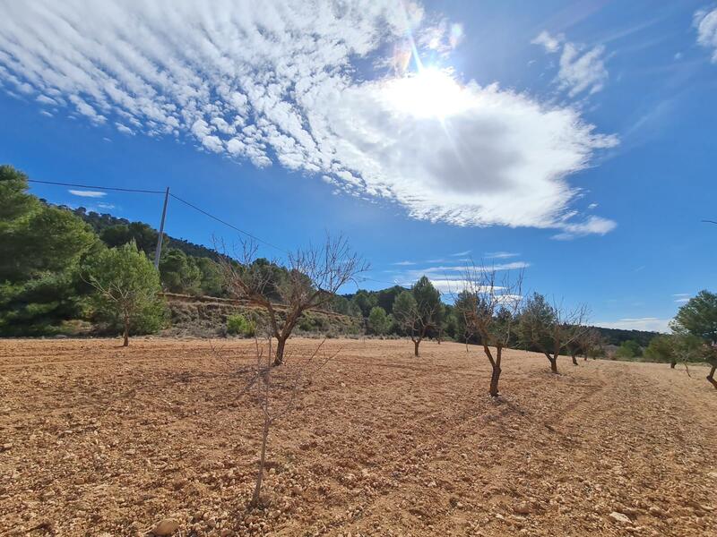 Terrenos en venta